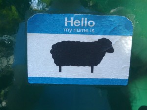 Hello, my name is sheep!
