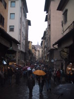 Umbrella Crowd