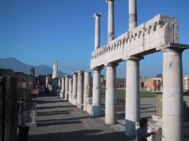 White Columns