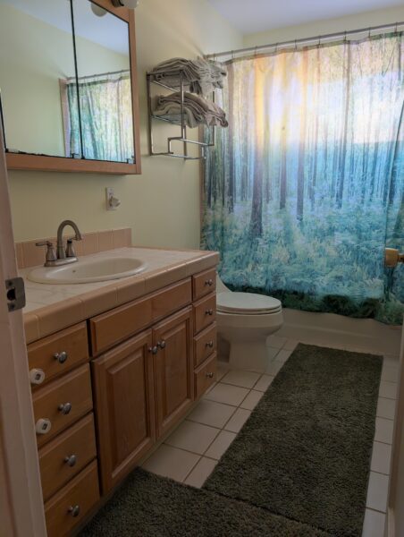 A view of the bathroom. The rugs are a dark green pile, the shower curtain is a print of a forest, with light shining through the window beyond. The bathroom wall is a pale green.