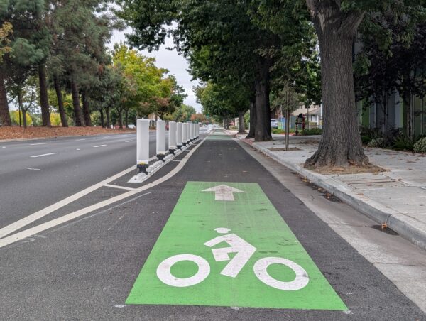 A view down an empty El Camino. There's a generous tree canopy. On the left are three lanes for auto traffic, then a line of plastic bollards protecting a wide bike lane clearly marked with green paint.