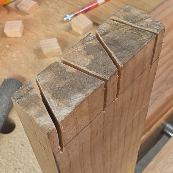 A 1x3 board with un-chiseled dovetail notches cut into the end.